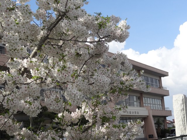 DSC02622.JPG