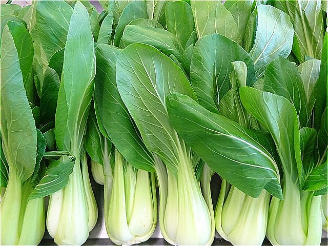 茨城県産のチンゲンサイ