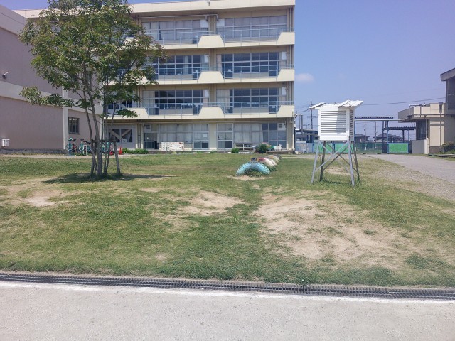 すっかりきれいになりました