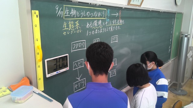 代表者